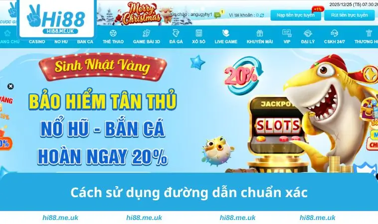 Cách sử dụng đường dẫn chuẩn xác