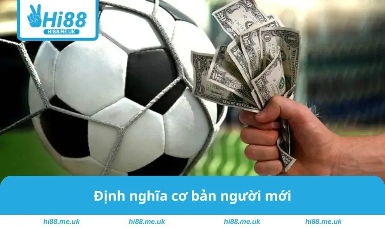 Định nghĩa cơ bản người mới