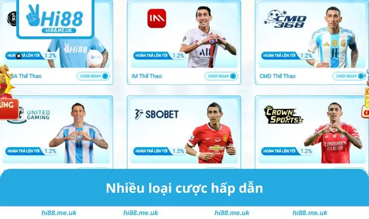 Nhiều loại cược hấp dẫn