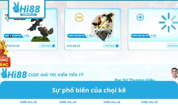 Sự phổ biến của chọi kê